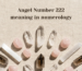 Angel Number 222 meaning in numerology